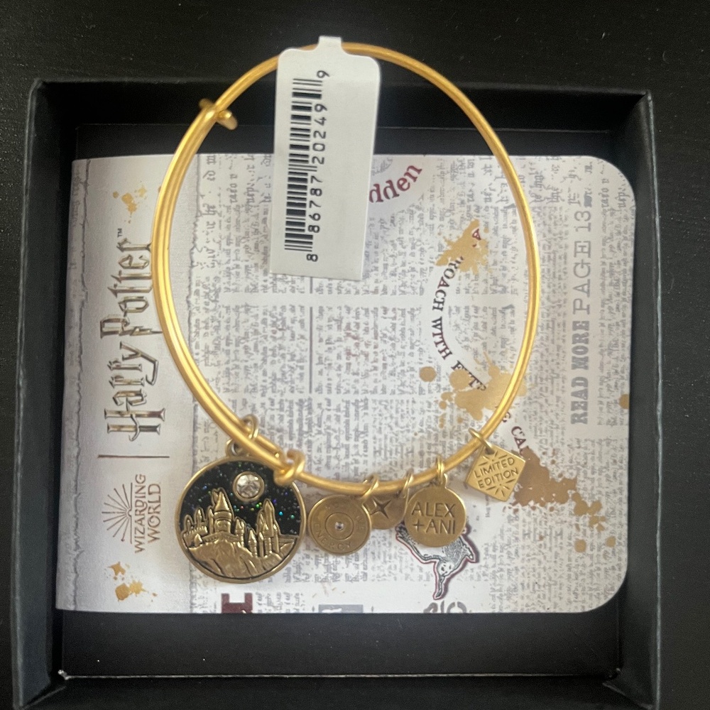 Harry Potter Alex and Ani Bracelet